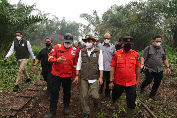 Raja Juli Diminta Larang Sawit di Lahan Bekas Kebakaran