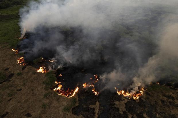 Mengulik Temuan Kemenhut Terkait Karhutla Berulang di Area Konsesi