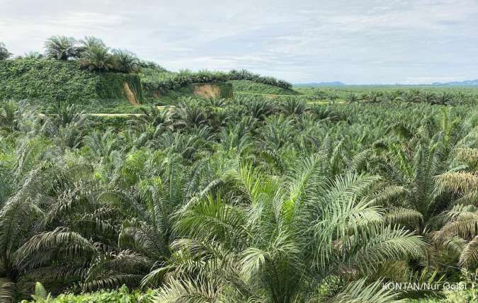 Astra Agro (AALI) Siapkan Belanja Modal Rp 1,4 Triliun Tahun 2027