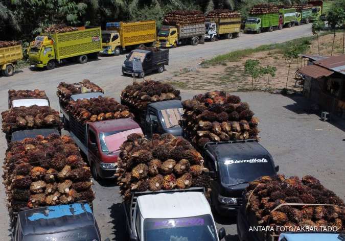 Harga CPO Melonjak, Simak Rekomendasi Saham Emiten Sawit Berikut Ini